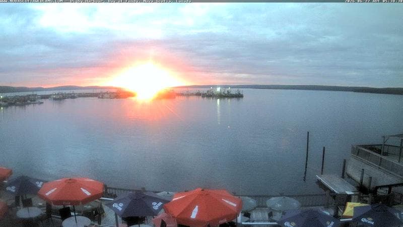 Digby Harbour