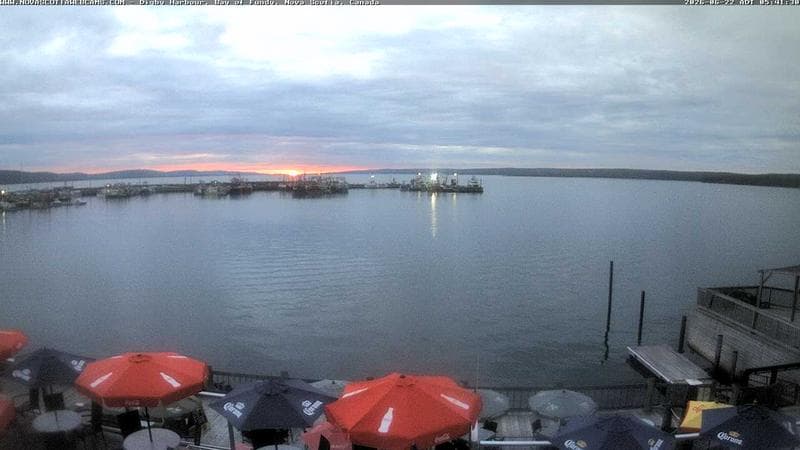 Digby Harbour