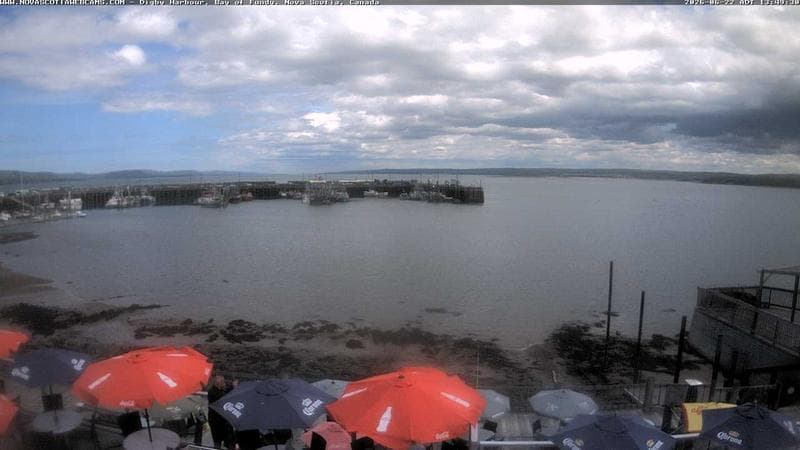 Digby Harbour