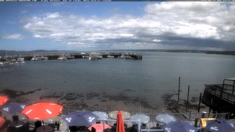 Digby Harbour