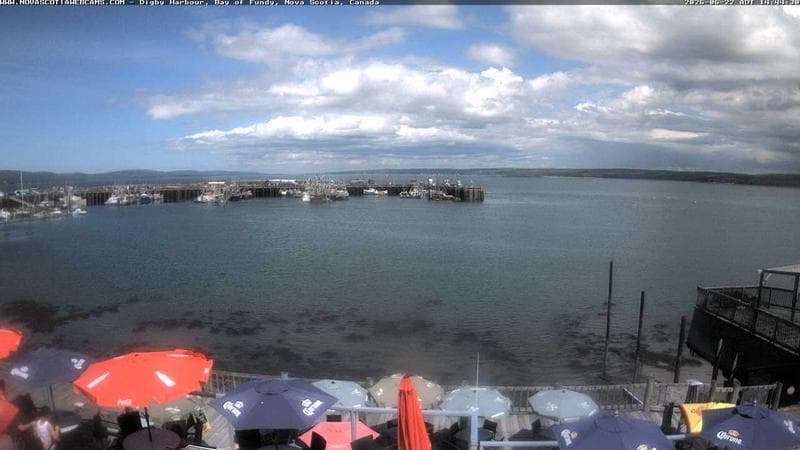Digby Harbour