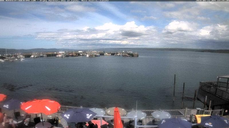 Digby Harbour