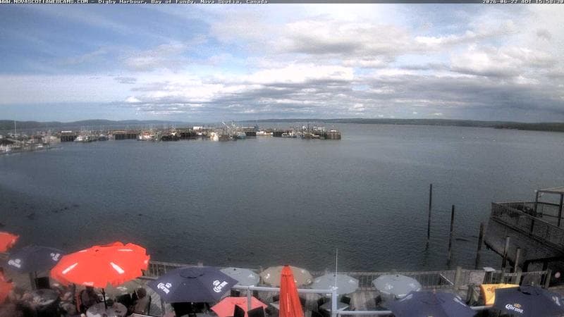 Digby Harbour