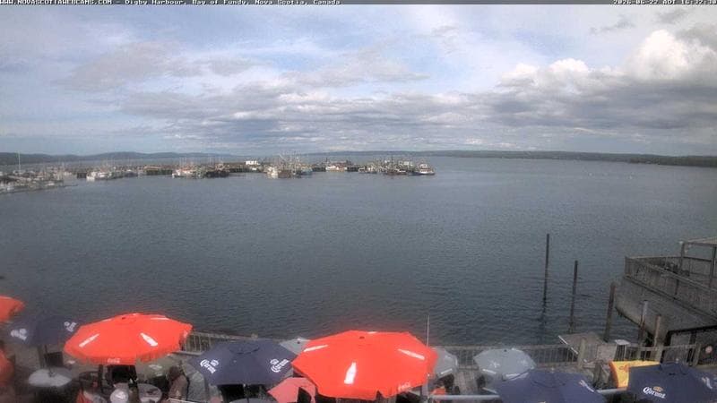Digby Harbour