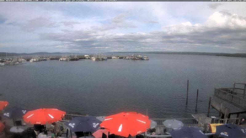 Digby Harbour