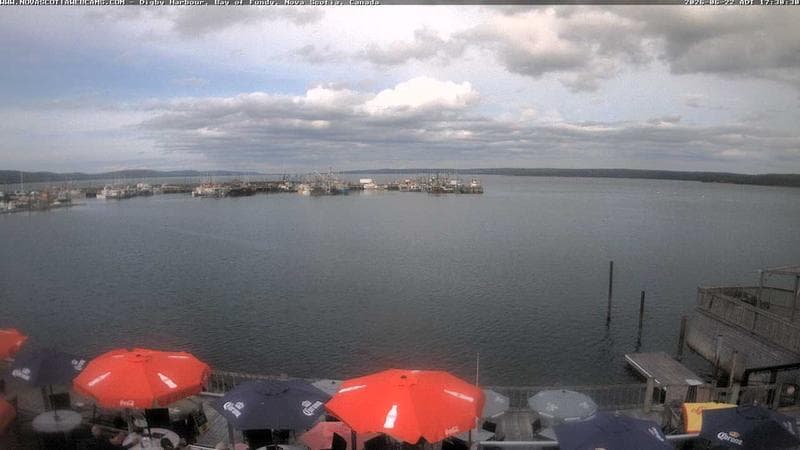 Digby Harbour