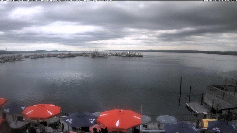 Digby Harbour