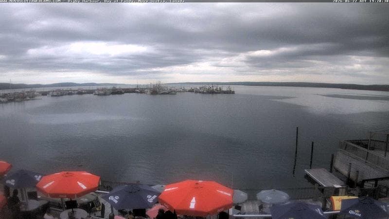 Digby Harbour