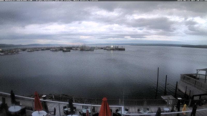 Digby Harbour