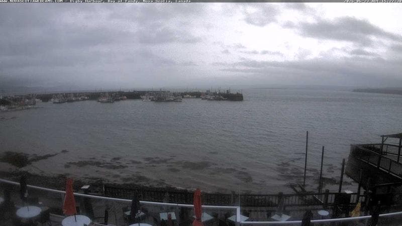 Digby Harbour