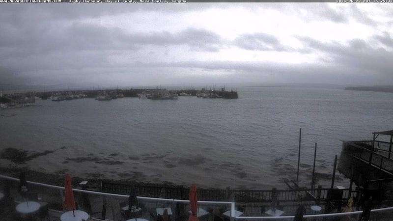 Digby Harbour