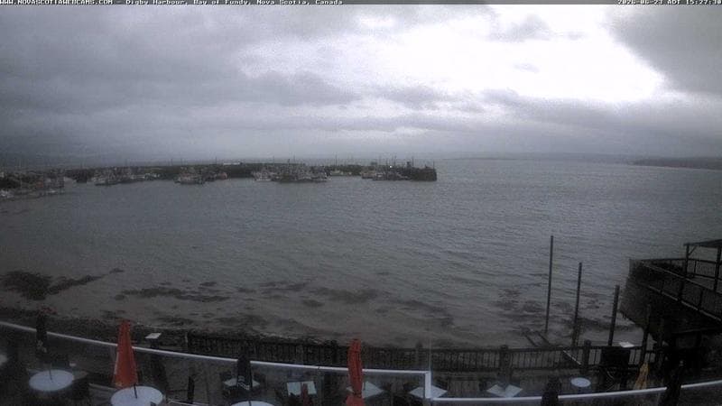 Digby Harbour