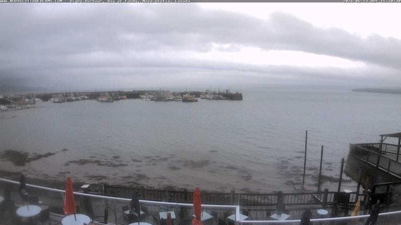 Digby Harbour