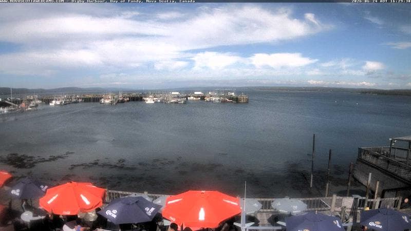 Digby Harbour