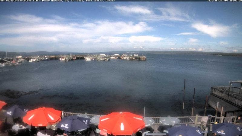 Digby Harbour