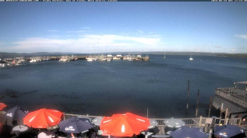 Digby Harbour