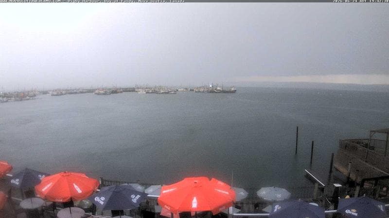 Digby Harbour