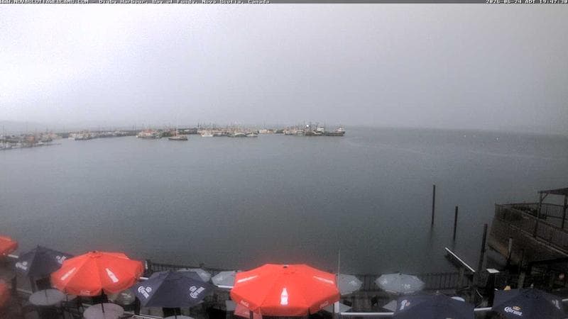 Digby Harbour