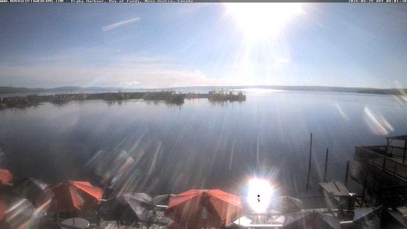 Digby Harbour