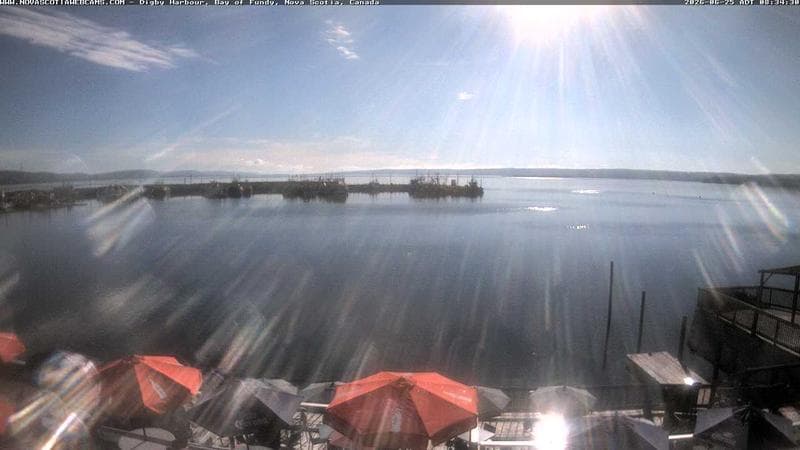 Digby Harbour