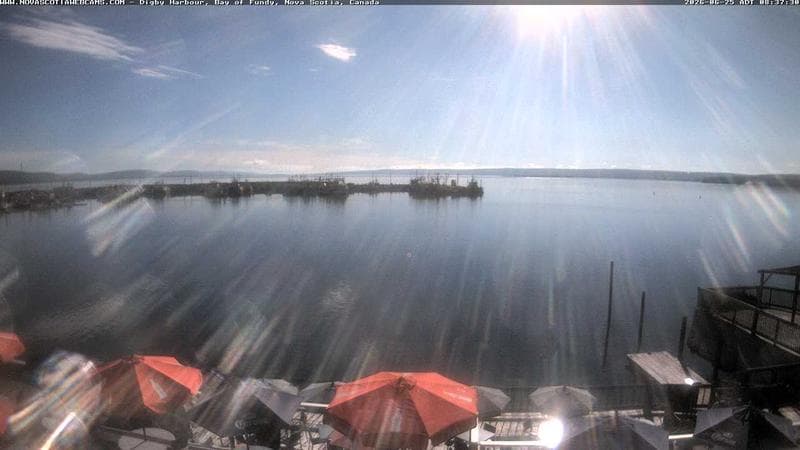 Digby Harbour