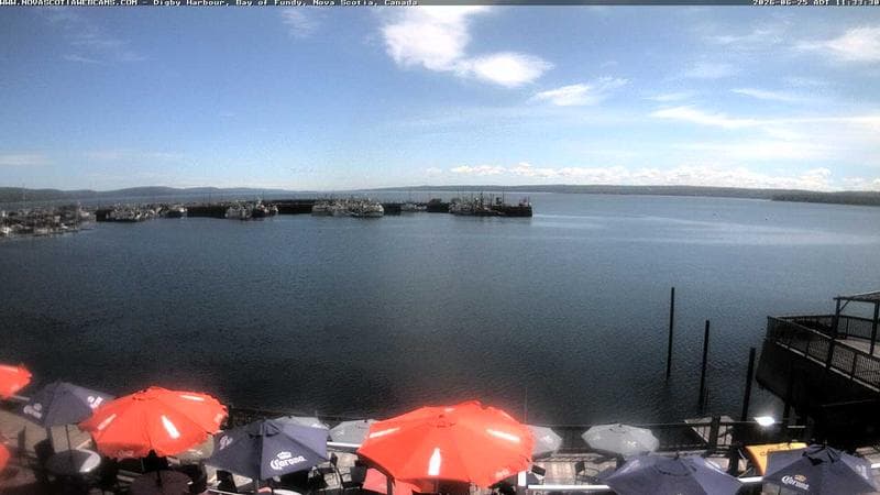 Digby Harbour