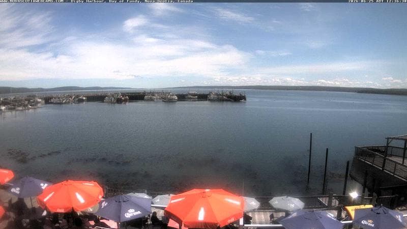 Digby Harbour