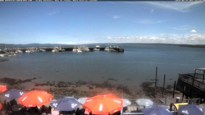 Digby Harbour
