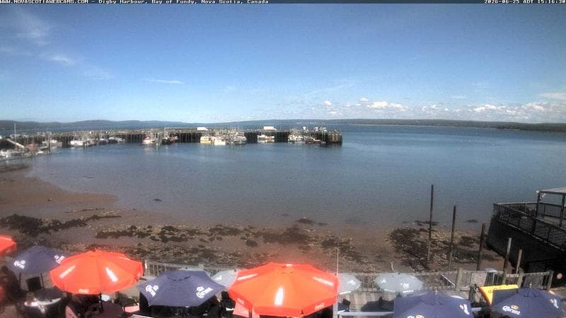 Digby Harbour