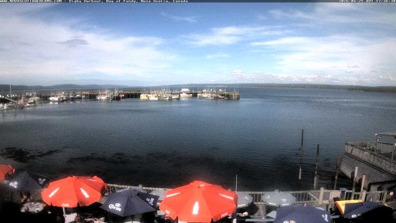 Digby Harbour