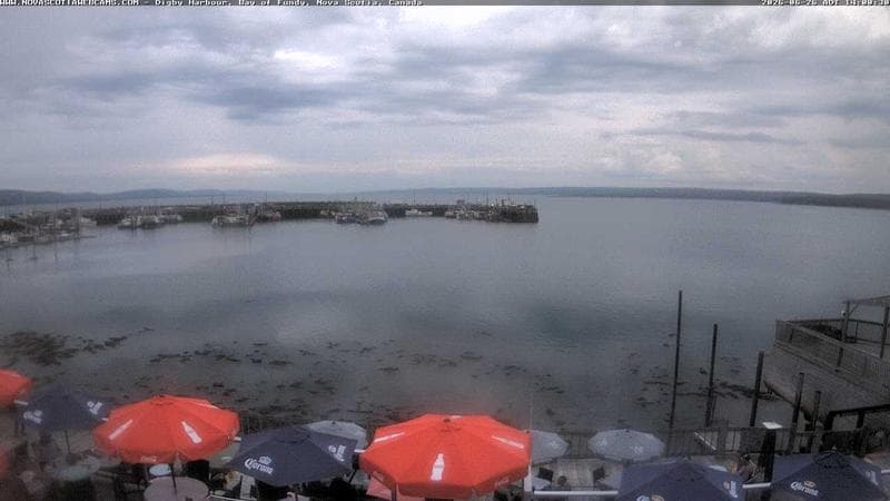 Digby Harbour
