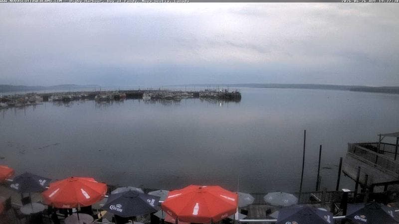 Digby Harbour