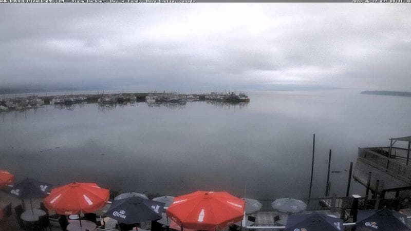 Digby Harbour