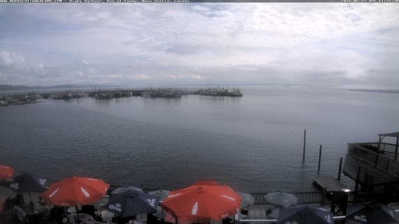 Digby Harbour