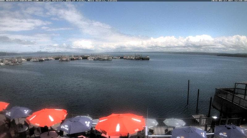Digby Harbour