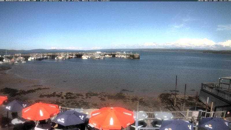 Digby Harbour