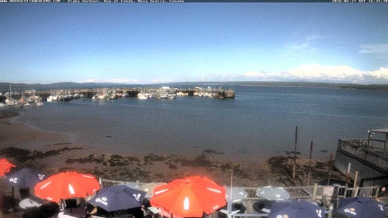 Digby Harbour