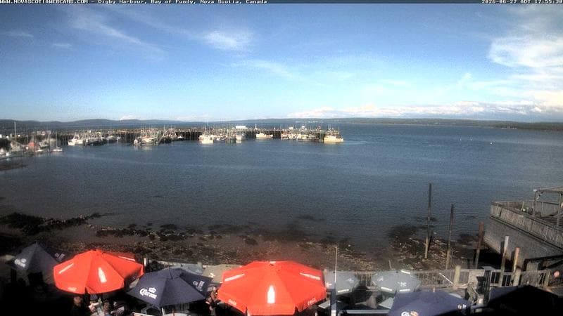 Digby Harbour