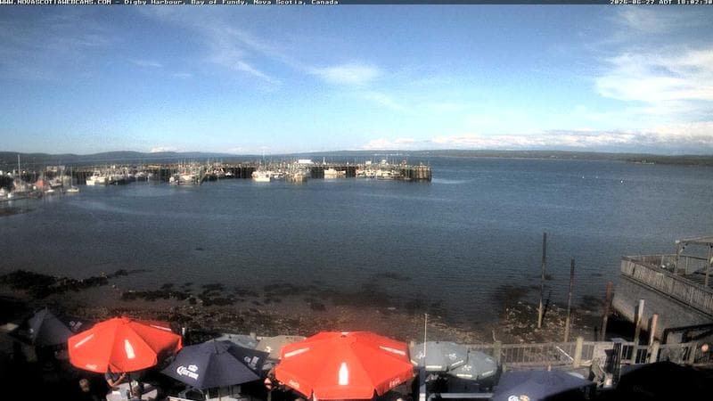Digby Harbour