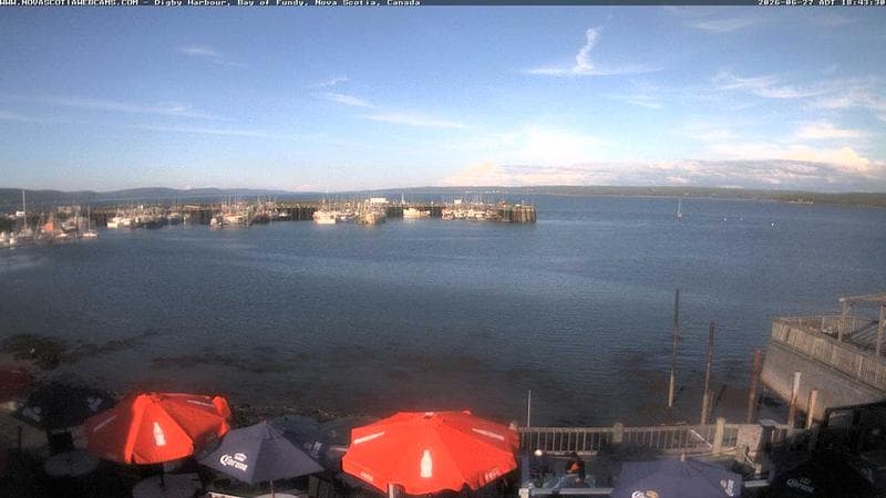 Digby Harbour