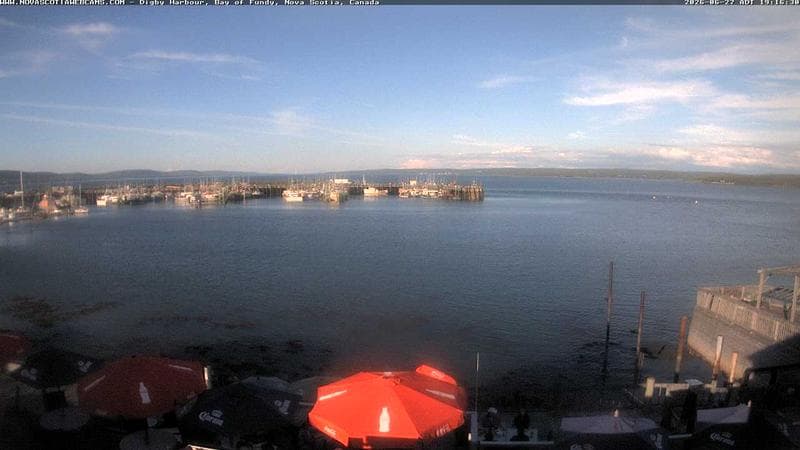 Digby Harbour