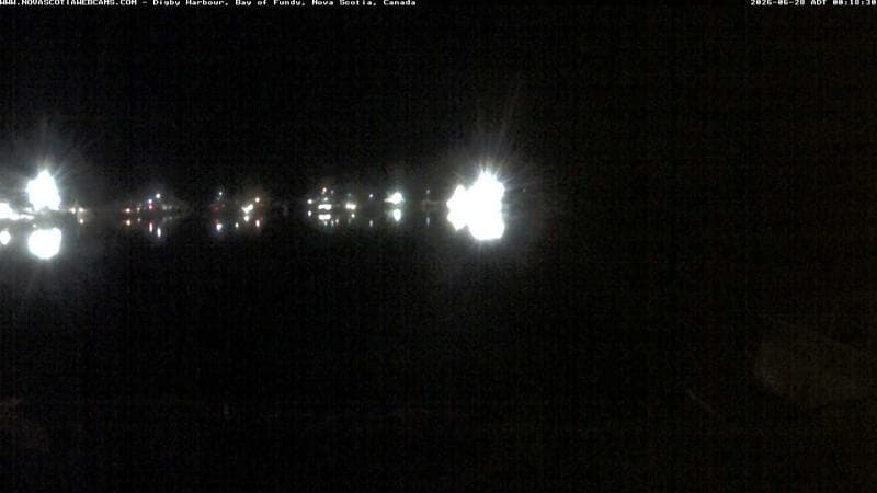Digby Harbour
