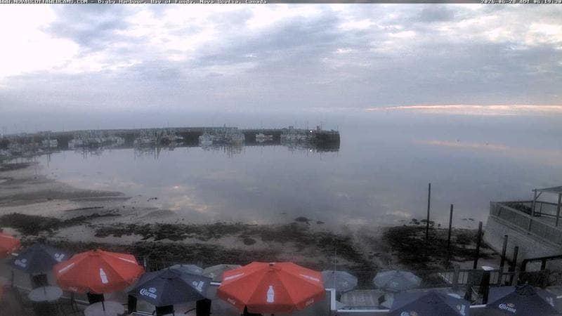 Digby Harbour