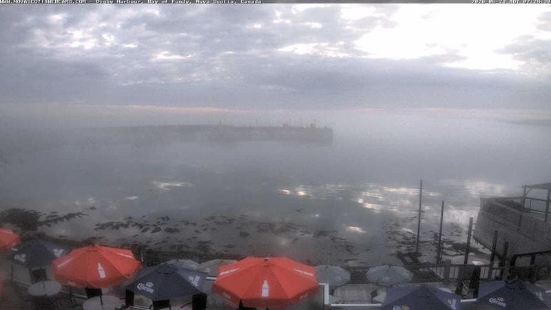 Digby Harbour