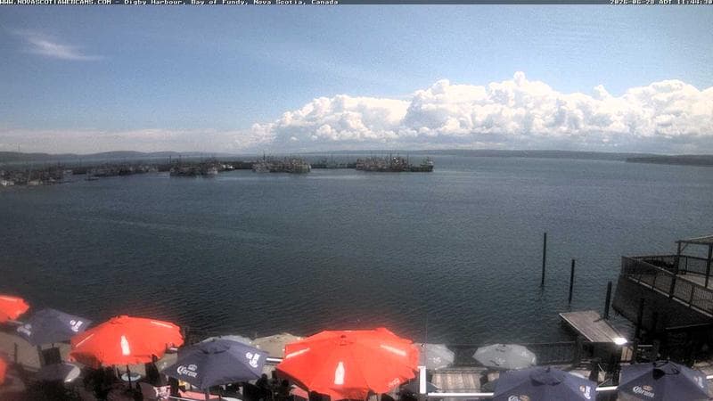 Digby Harbour