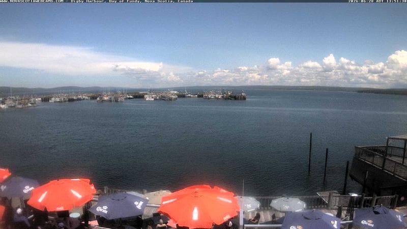 Digby Harbour