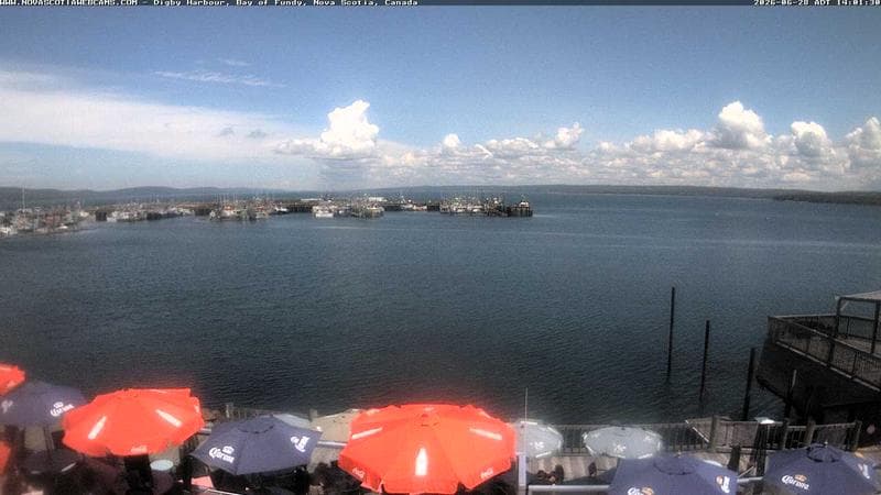 Digby Harbour