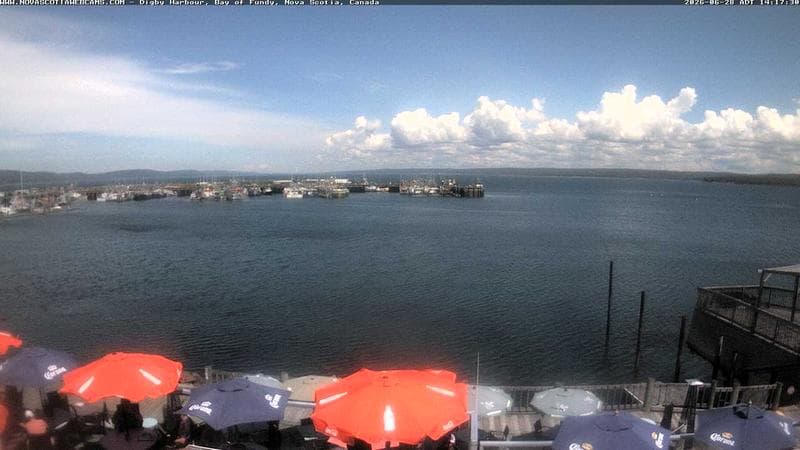 Digby Harbour
