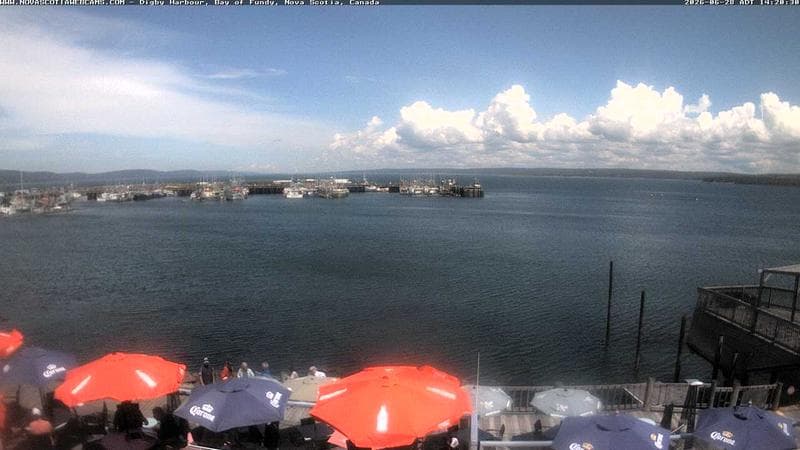 Digby Harbour