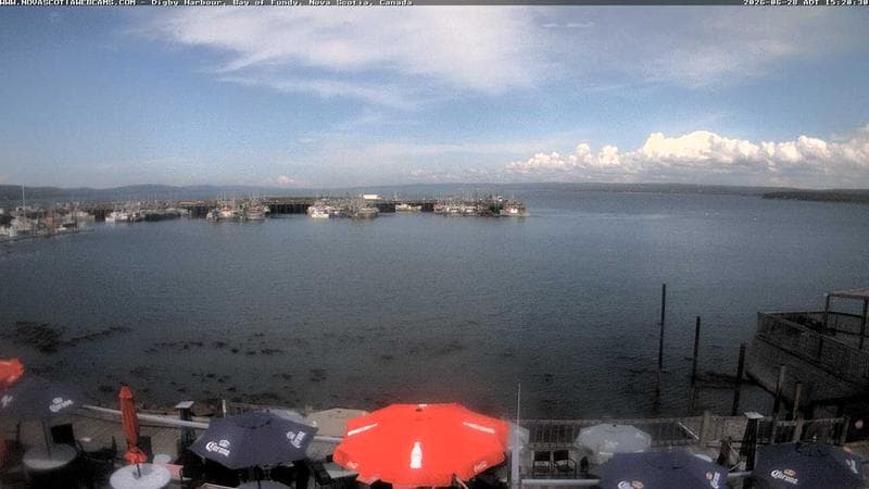 Digby Harbour